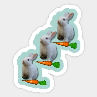 Cute white rabbit Sticker